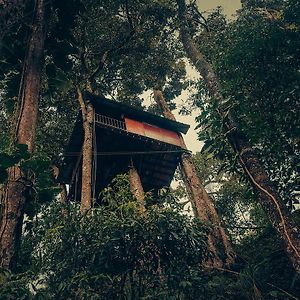 Ela Ecoland Nature Retreat